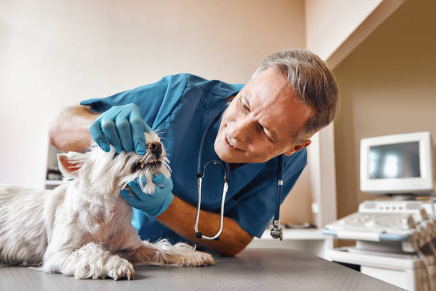 Best Emergency Tooth Extraction in Mesita, NM